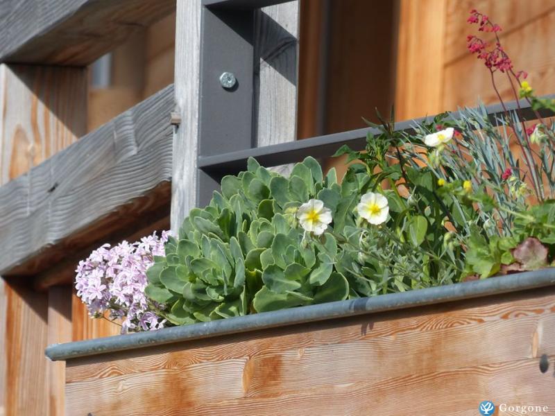 Photo n&deg;10 de :Chalet MEGEVE-COMBLOUX, ETE 2026