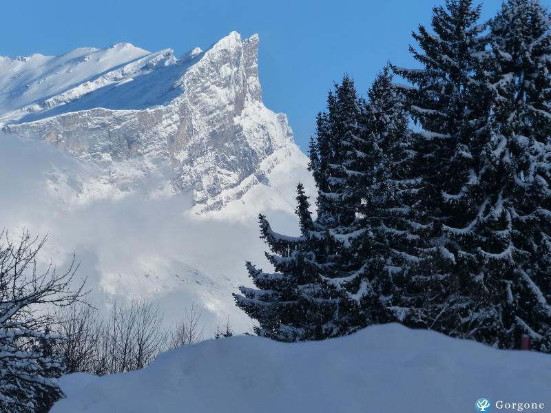 Photo n&deg;10 de :HIVER 2026-27 : Loue chalet de standing, Meg�ve-Combloux, vue panoramique, au calme, 5 chambres, services para-h�teliers