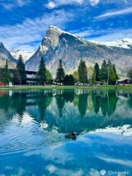 cliquez ici pour agrandir les photos de cette location à megeve